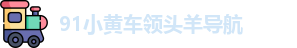 91小黄车领头羊导航